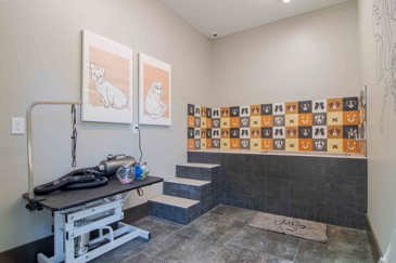 1250 West - Pet Spa